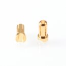 RUDDOG 5mm Gold Plug Male Short (2pcs)